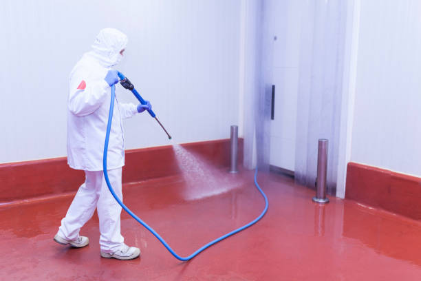 Best Sidewalk and Walkway Cleaning  in Elysburg, PA